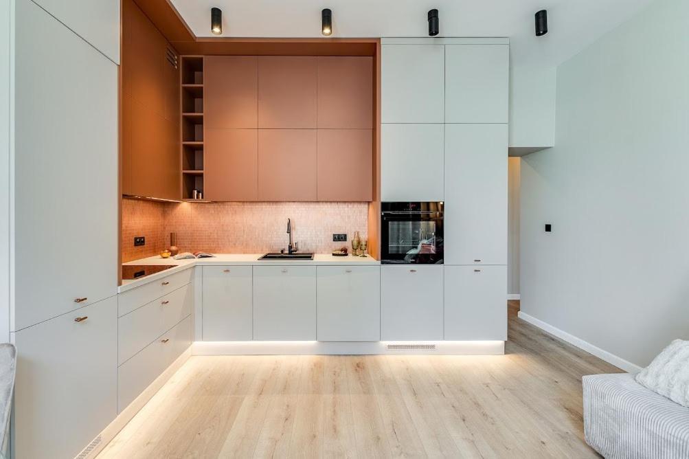Jan III Sobieski - Luksusowy Apartament S Prywatny Darmowy Parking 格利维采 外观 照片